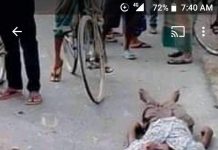 ঝিনাইদহে স্প্রিডব্রেকারে অনাকাঙ্খিত দূর্ঘটনা এড়াতে স্থানীয় সেচ্ছাসেবীদের তৎপরতা