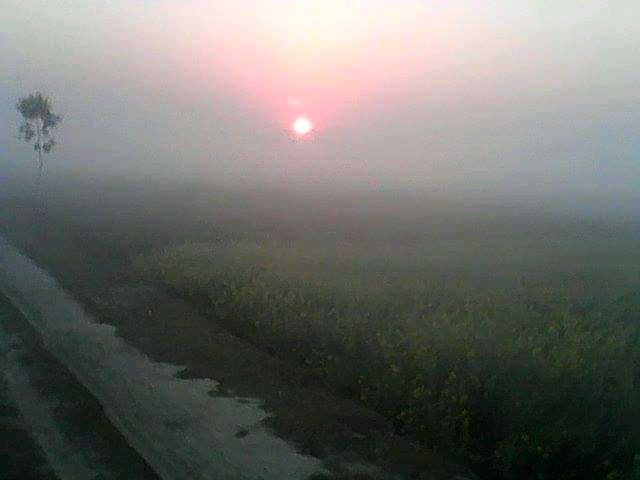 123961432_392603892089678_4990057426734044246_n