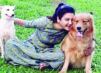 বেওয়ারিশ কুকুর অপসারণ বন্ধে অভিনেত্রী জয়ার রিট কার্যতালিকা থেকে বাদ