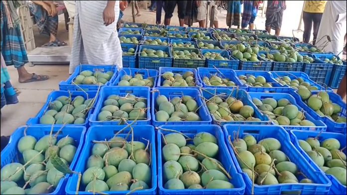 Sharsha Mango Market has been Deprived of crores of Rupees in Revenue due to non-lease Pic-01 28.05.2021