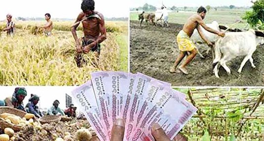 যশোরে ২২৪৫ চাষিকে কৃষি প্রণোদনা বরাদ্দ