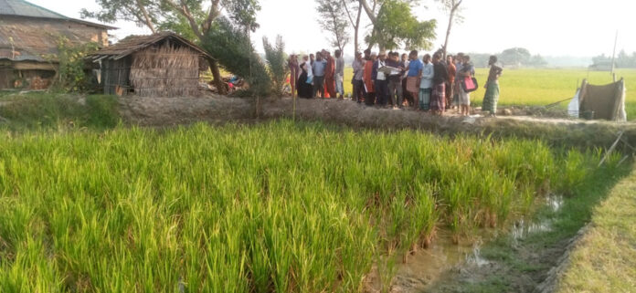 IMG_20221123_150718_673(1)