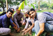 বিশ্ববিদ্যালয় দিবসে ইবিতে গ্রীন ভয়েস এর বৃক্ষরোপণ কর্মসূচি
