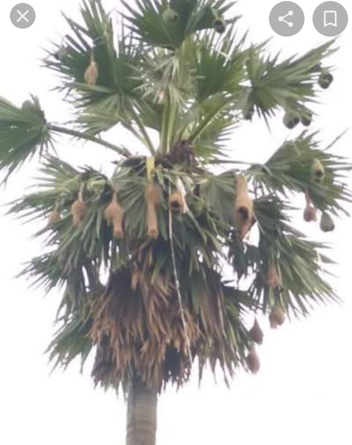 Screenshot_20221115-201410~2