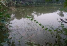 দশমিনায় কৃষি প্রদর্শনীসহ শীতকালিন সবজির আবাদ বাড়ছে