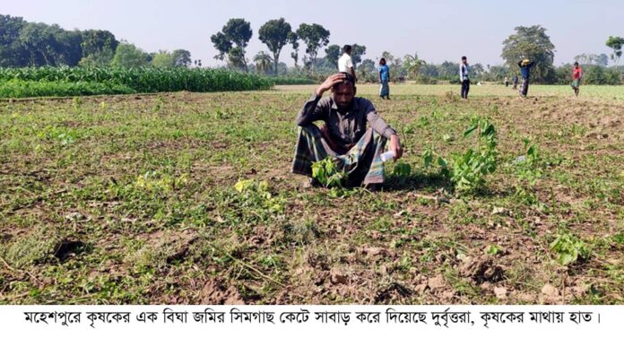 Moheshpur Pic Sim Gas 03.12.2022