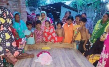 দামুড়হুদায় ৪সন্তান জন্ম নেয়া টিয়ার মৃত্যু,