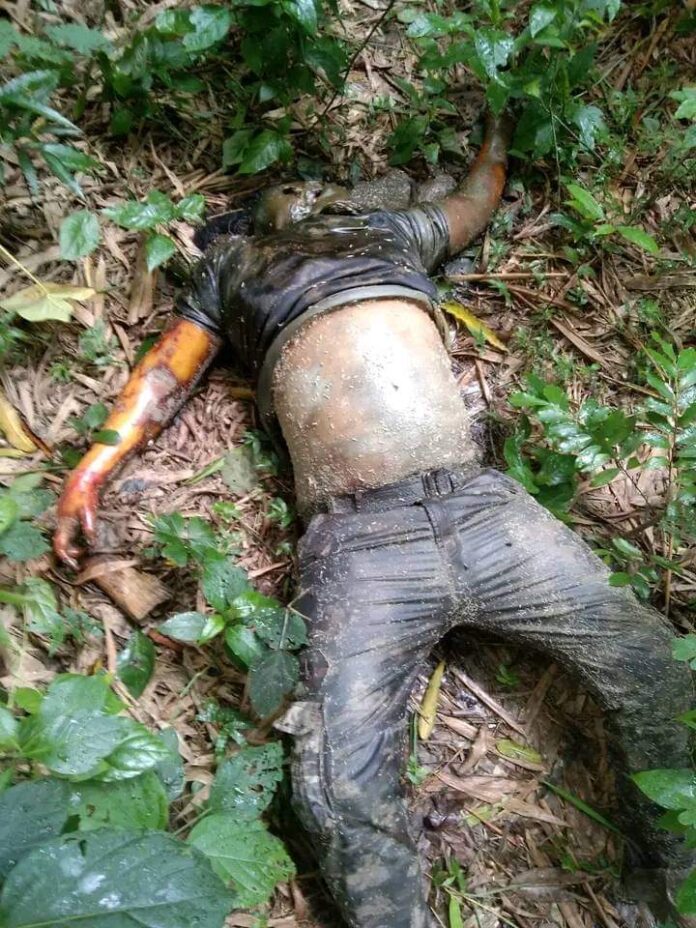 FB_IMG_1689593913620