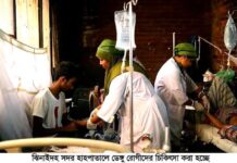 ঝিনাইদহে চোখ রাঙাচ্ছে ডেঙ্গু বেশির ভাগ ঢাকায় আক্রান্ত