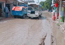 শৈলকুপায় সড়কের বেহাল দশায় চরম ভোগান্তি