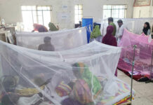 যশোরের ডেঙ্গুজ্বরে দু’জনের মৃত্যু, নতুন আক্রান্ত ৯ মশক নিধনে তৎপরতা না থাকায় হতাশ শহরবাসী