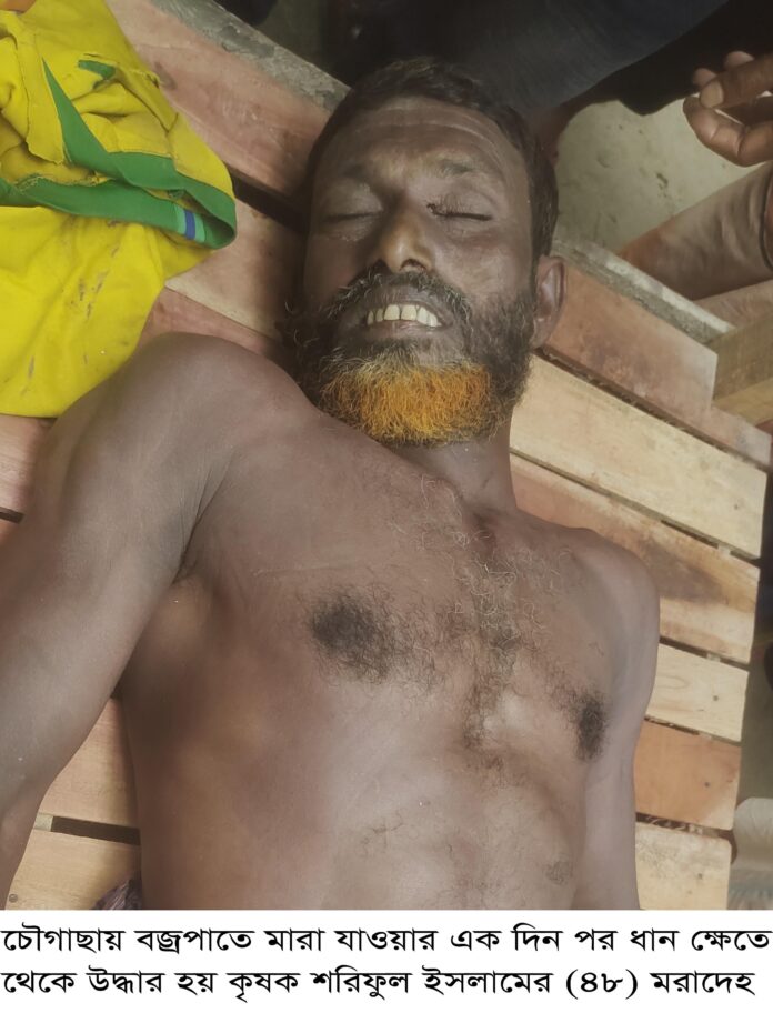 Chowgacha Pic24-08-2023-3