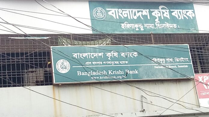 received_1445021376332285