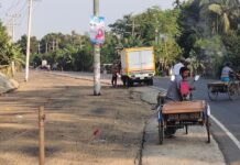 ডুমুরিয়ায় দূর্ঘটনা এড়াতে বাঁক সোজা করার রাস্তায় বিদ্যুতের খুঁটি রেখে পিচ ঢালাই।