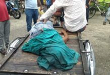 মোংলায় ট্রাকের নিচে পড়ে বৃদ্ধার মৃত্যু