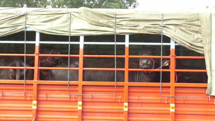 received_1372512000314297