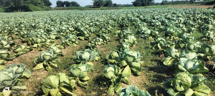 received_312771024725494