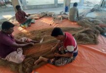 শুরু হচ্ছে দুবলার চরের শুটকি মৌসুম, উপকূলে চলছে জেলেদের শেষ মুহূর্তের প্রস্তুতি, শুক্রবার সমুদ্রে যাত্রা জেলেদের