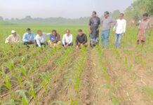 আখের মাঠ সঠিক ভাবে পরিচর্যা করবেন,ফলন বেশী পাবেন, আপনারাই লাভবান হবেন, দামুড়হুদায় আখচাষীদের আখরোপন ও পরিচর্যায় কেরুজ এমডি