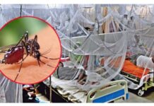 নড়াইলে ডেঙ্গু জ্বরে আক্রান্ত হয়ে ময়না বেগমের মৃত্যু