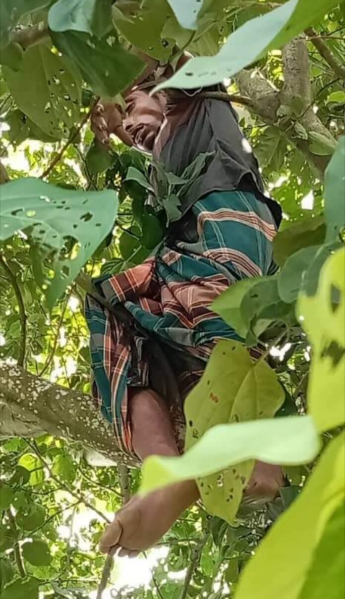 Polish_20240905_192350017