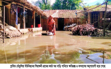 তালায় দফায় দফায় বৃষ্টিপাতে আবারও প্লাবিত মারাত্নক ক্ষতির সম্মুখিন কৃষক ও প্রাণীকুল
