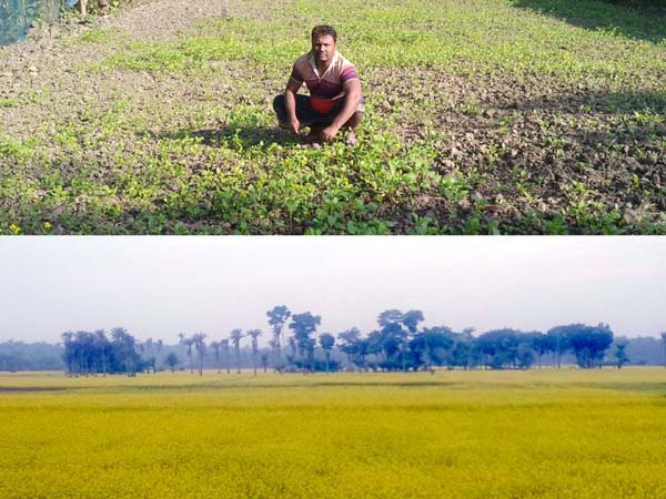 InShot_20241203_111346575