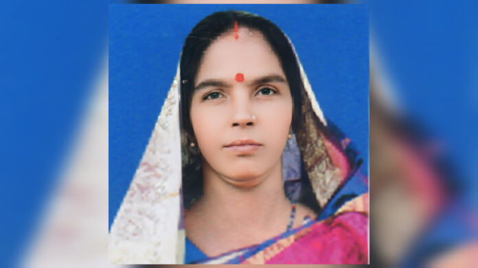 InShot_20241227_184357930