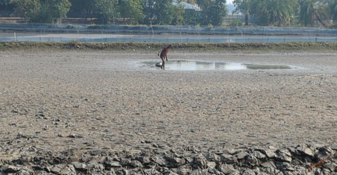 Screenshot_20241231-182430 (1)