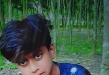 লোহাগড়ায় ভ্যান ছিনতাইকালে কিশোরকে হত্যা।