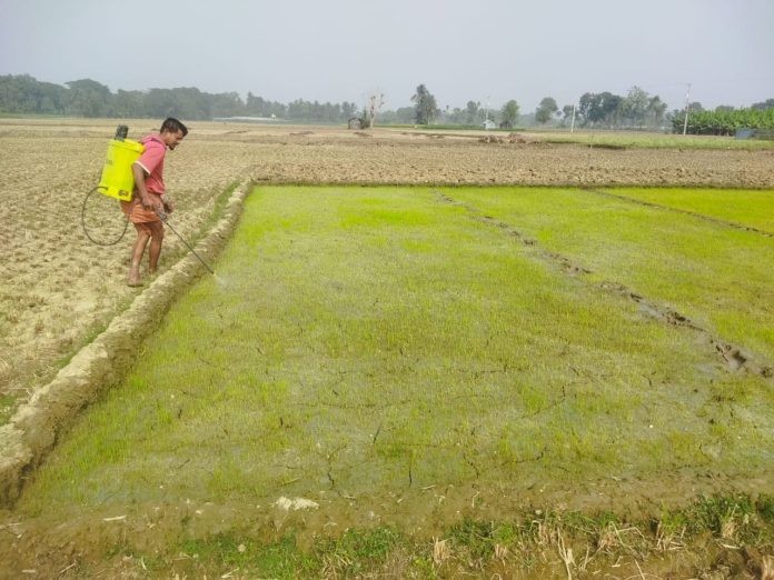 Monirampue(09.01 (5)