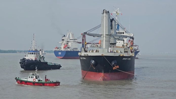 VideoCapture_20241226-235517