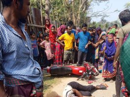 কেশবপুরে সড়ক দুর্ঘটনায় গার্মেন্টস ব্যবসায়ী নিহত