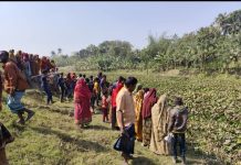 জীবননগরে খালের কচুরিপানার যুবকের লাশ উদ্ধার