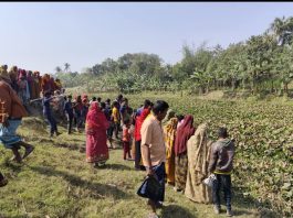 জীবননগরে খালের কচুরিপানার যুবকের লাশ উদ্ধার