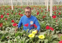 নির্বাচনে বাজার বন্ধ, গদখালির ফুলচাষিদের শত কোটি টাকার ক্ষতি