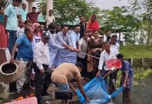 শালিখায় সিএনআরএস-এর উদ্যোগে চিতল মাছের পোনা অবমুক্তকরণ