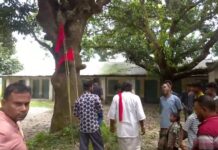 ‘ জিন সাপ’ আতঙ্কে শালিখার ছান্দড়া গ্রাম