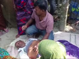 শালিখায় জমি নিয়ে বিরোধ, বড় ভাইয়ের লাঠির আঘাতে ছোট ভাই নিহত