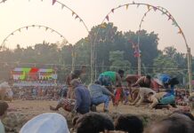তালায় ঐতিহ্যবাহী হা-ডু-ডু খেলার আসর, চ্যাম্পিয়নদের জন্য গরু ও ফ্রিজ পুরস্কার