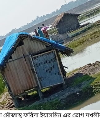 পাইকগাছায় আদালতের নিষেধাজ্ঞা উপেক্ষা করে চিংড়ি ঘেরের মাছ লুটপাটের অভিযোগ