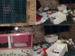 গৃহবধূর ঘরে ঢুকে নগদ টাকা ও স্বর্ণালংকার চুরি, থানায় অভিযোগ