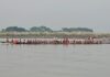 লোহাগড়ার মধুমতী নদীতে জমজমাট নৌকাবাইচ, প্রথম চাপুলের নৌকা